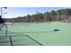 Bright tennis court with new nets and a great view of the tree line at 156 Stoney Creek Way, Chapel Hill, NC 27517