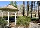Charming community gazebo near the pond surrounded by lush greenery and trees at 200 Parkbranch Ln, Cary, NC 27519