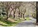 Scenic walking path through the West Park community lined with mature trees and a bench at 200 Parkbranch Ln, Cary, NC 27519