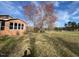 Brick house with a spacious front yard, shaded by a large tree at 2117 George Winston Rd, Oxford, NC 27565