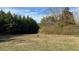 Expansive grassy land with mature trees in the background under a bright sky at 2117 George Winston Rd, Oxford, NC 27565