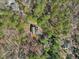 Aerial view of the house surrounded by trees, with a driveway leading to the property at 2431 Winburn Ave, Durham, NC 27704