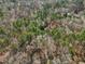 Secluded home nestled among lush trees in a private wooded setting, creating a serene, natural retreat at 2431 Winburn Ave, Durham, NC 27704