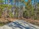 Long driveway through a natural wooded area leads to the home at 2431 Winburn Ave, Durham, NC 27704