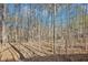 Natural wooded land showing a mix of bare trees and leaf-covered ground at 2431 Winburn Ave, Durham, NC 27704