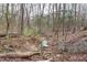 Scenic view of the creek flowing through the wooded property at 3604 Pasture Rd, Hillsborough, NC 27278