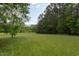 Vast and verdant landscape featuring a lush green field bordered by mature trees and foliage at 3604 Pasture Rd, Hillsborough, NC 27278