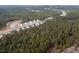 An aerial view of the community showing a pond surrounded by lush forest and a row of new homes at 664 The Parks Dr, Pittsboro, NC 27312