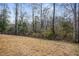 Open backyard featuring dormant grass and trees in the background at 1056 Lukestone Dr, Fuquay Varina, NC 27526