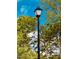 Classic street lamp surrounded by lush green trees, enhancing the neighborhood's charm and providing ambient lighting at 30 Nimble Way # 171, Clayton, NC 27520