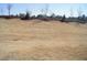 Expansive backyard featuring gently sloping land and young trees in the distance at 5006 Tura St, Raleigh, NC 27610