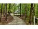 A home is nestled in the woods, seen from the long driveway leading to the house at 1013 Traders Trl, Wake Forest, NC 27587
