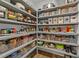 Well-organized pantry with extensive shelving and storage solutions for keeping groceries tidy and accessible at 112 Ava Ct, Holly Springs, NC 27540