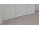 Bedroom features neutral carpet, fresh paint, and closet space at 117 Pisgah St, Sanford, NC 27330