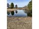 Picturesque pond reflecting trees with natural surroundings at 131 E Victory View. Ter, Smithfield, NC 27577