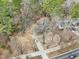 Aerial view of a single-Gathering home with a long driveway and spacious lot surrounded by mature trees at 1911 Stadium Dr, Durham, NC 27705