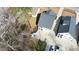 Aerial view of a well-maintained gray house with a spacious driveway and landscaped surroundings at 206 Pine St, Fuquay Varina, NC 27526