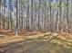 Backyard wooded lot with mature trees offering privacy and natural beauty at 273 Homestead Way, Clayton, NC 27527