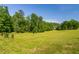 Spacious grassy backyard with mature trees, offering ample room for outdoor activities and relaxation at 4200 Us 1 Highway South, Kittrell, NC 27544