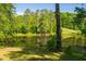 Backyard pond reflecting the surrounding trees, creating a tranquil and serene outdoor setting at 4200 Us 1 Highway South, Kittrell, NC 27544