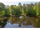Backyard pond reflecting the surrounding trees, creating a tranquil and serene outdoor setting at 4200 Us 1 Highway South, Kittrell, NC 27544