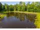 Aerial view of the backyard pond surrounded by manicured lawn, trees, and natural vegetation at 4200 Us 1 Highway South, Kittrell, NC 27544
