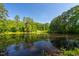 Picturesque pond reflecting surrounding trees under a clear blue sky, creating a serene and tranquil view at 4200 Us 1 Highway South, Kittrell, NC 27544