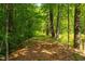 Scenic wooded path with mature trees, leading toward a grassy clearing near the water's edge at 4200 Us 1 Highway South, Kittrell, NC 27544