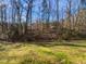 Green backyard with trees providing lots of privacy at 6624 Professor St, Raleigh, NC 27616