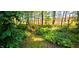 Private wooded area, perfect for nature walks and exploration at 105 Mystic Quartz Ln, Holly Springs, NC 27540