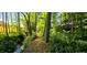 Picturesque path through a wooded area with a stream nearby at 105 Mystic Quartz Ln, Holly Springs, NC 27540