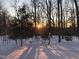 Backyard features snow covered ground with a sunburst peeking through the trees at 95 Blueberry Rdg, Pittsboro, NC 27312