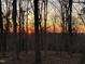 Scenic sunset view through bare winter trees, offering a tranquil, wooded landscape at 95 Blueberry Rdg, Pittsboro, NC 27312