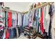 Walk-in closet with organized shelving for clothing, shoes, and accessories at 104 Barnes Spring Ct, Cary, NC 27519