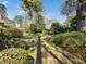 A spacious backyard featuring a greenhouse and mature landscaping at 1708 Lakepark Dr, Raleigh, NC 27612