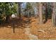 A rustic path is lined with tall trees and ground cover, leading to outdoor stairs at 3775 Guess Rd # 36, Durham, NC 27705