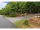Ground-level road view of a gravel driveway entrance surrounded by lush green trees and shrubbery at 5507 Eagles Nest Trl, Snow Camp, NC 27349