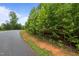 Scenic view of a paved street winding through lush greenery under a bright blue sky at 5507 Eagles Nest Trl, Snow Camp, NC 27349