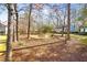 Landscaped backyard with mature trees, a circular area, and seasonal greenery, providing privacy at 2 Poplar Ave, Elon, NC 27244