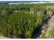Aerial view of wooded homesite with views of Lake Tillery at 422 Lower Thrift Rd, New Hill, NC 27562