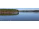 View of Lake Tillery from the property at 422 Lower Thrift Rd, New Hill, NC 27562