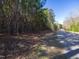 Road view of homesite at 422 Lower Thrift Rd, New Hill, NC 27562