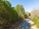Road view of homesite at 422 Lower Thrift Rd, New Hill, NC 27562