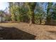 Backyard exterior with tall trees and a wooden fence boundary at 704 Pender St, Rocky Mount, NC 27801
