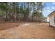A backyard with a chain-link fence and trees surrounding the perimeter of the home's yard at 92 Papoose Trl, Lillington, NC 27546