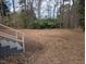 Lush backyard with mature trees and landscaping, offering a serene and private outdoor space at 1128 Horseshoe Rd, Durham, NC 27703