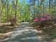 Long driveway leading to the property, bordered by trees and colorful azalea bushes at 2819 Meacham Rd, Chapel Hill, NC 27516