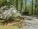 Backyard view showcasing a large azalea bush and small outbuilding at 2819 Meacham Rd, Chapel Hill, NC 27516