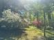 Lush landscape showcasing various colored azaleas in a park-like setting at 2819 Meacham Rd, Chapel Hill, NC 27516