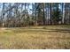 Open, grassy yard featuring mature trees, offering a serene and natural setting at 2819 Meacham Rd, Chapel Hill, NC 27516